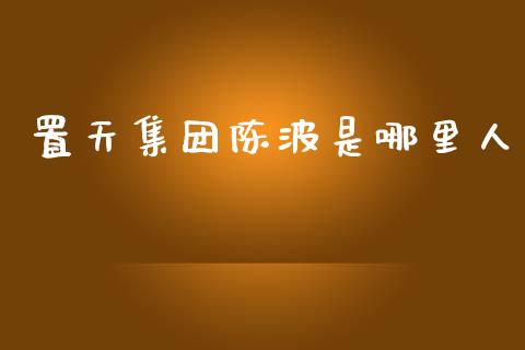置天集团陈波是哪里人_https://www.apanben.com_国际财经_第1张