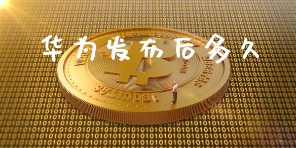 华为发布后多久_https://www.apanben.com_期货学院_第1张