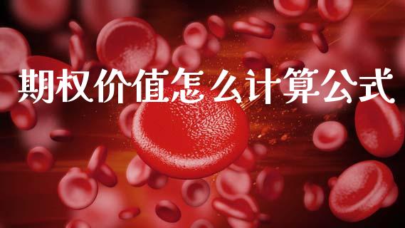 期权价值怎么计算公式_https://www.apanben.com_在线喊单_第1张