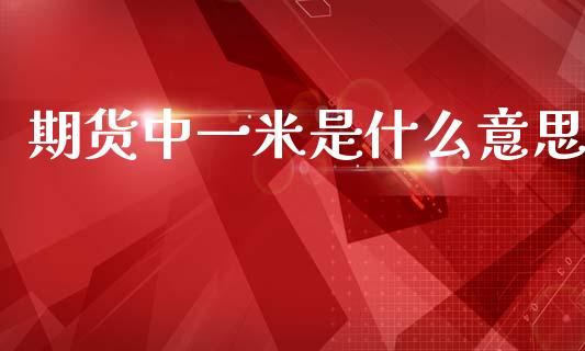 期货中一米是什么意思_https://www.apanben.com_财经资讯_第1张