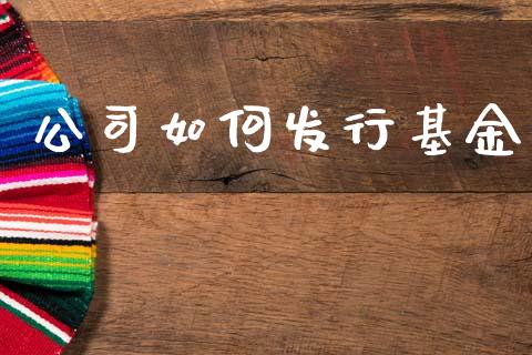 公司如何发行基金_https://www.apanben.com_股市分析_第1张