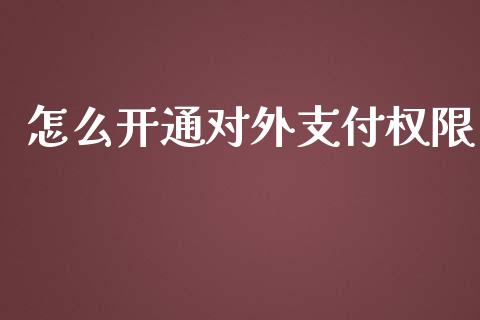 怎么开通对外支付权限_https://www.apanben.com_在线喊单_第1张