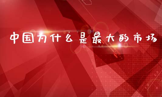中国为什么是最大的市场_https://www.apanben.com_财经资讯_第1张
