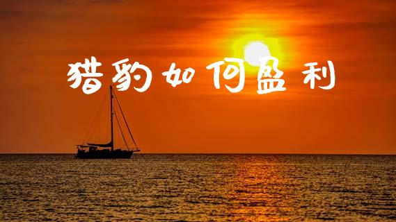 猎豹如何盈利_https://www.apanben.com_期货学院_第1张