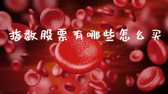 指数股票有哪些怎么买_https://www.apanben.com_在线喊单_第1张