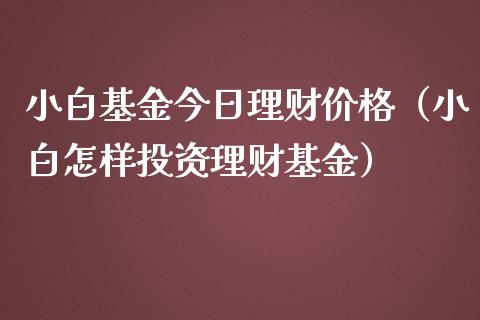 小白基金今日理财价格（小白怎样投资理财基金）_https://www.apanben.com_国际财经_第1张