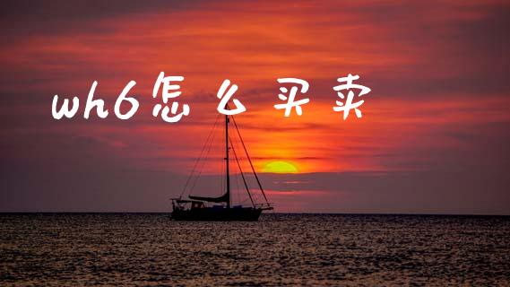 wh6怎么买卖_https://www.apanben.com_股票怎么玩_第1张