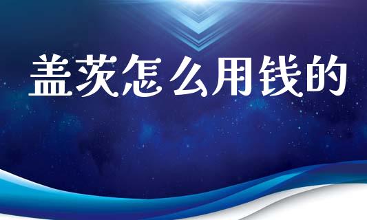 盖茨怎么用钱的_https://www.apanben.com_国际财经_第1张