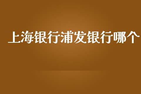 上海银行浦发银行哪个_在线喊单_第1张_安贝财经网 上海银行浦发银行哪个_https://www.apanben.com_在线喊单_第1张