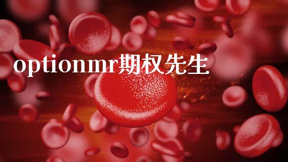 optionmr期权先生_https://www.apanben.com_财经资讯_第1张