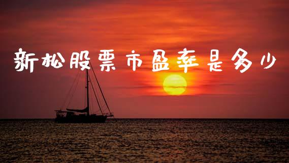 新松股票市盈率是多少_https://www.apanben.com_国际财经_第1张