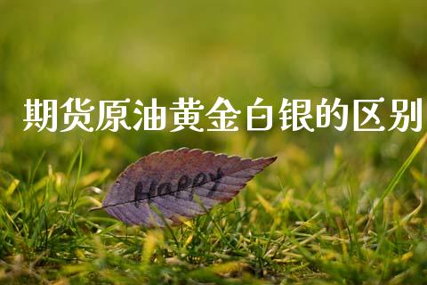 期货原油黄金白银的区别_https://www.apanben.com_期货学院_第1张