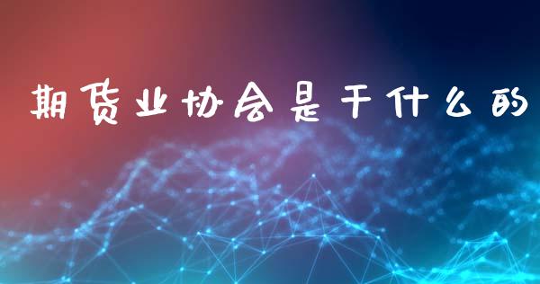期货业协会是干什么的_https://www.apanben.com_财经资讯_第1张