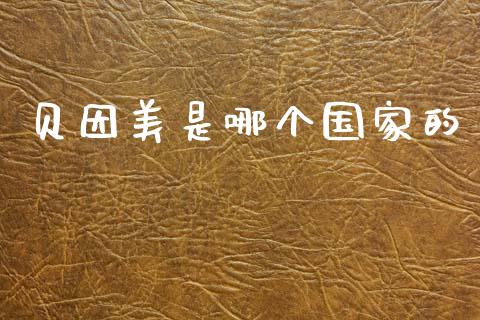 贝因美是哪个国家的_https://www.apanben.com_国际财经_第1张