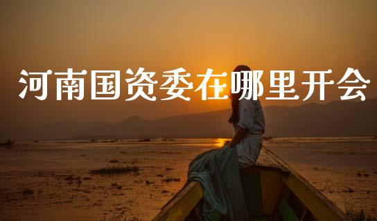 河南国资委在哪里开会_https://www.apanben.com_国际期货_第1张