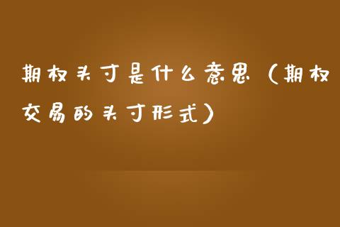 期权头寸是什么意思（期权交易的头寸形式）_https://www.apanben.com_期货学院_第1张