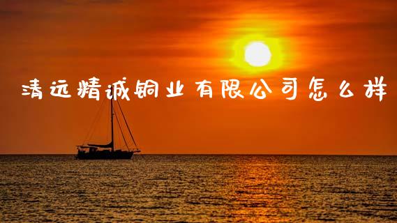 清远精诚铜业有限公司怎么样_https://www.apanben.com_股市指导_第1张