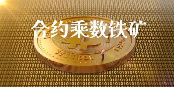 合约乘数铁矿_https://www.apanben.com_期货学院_第1张