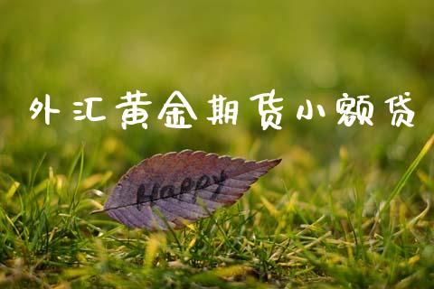 外汇黄金期货小额贷_https://www.apanben.com_期货学院_第1张