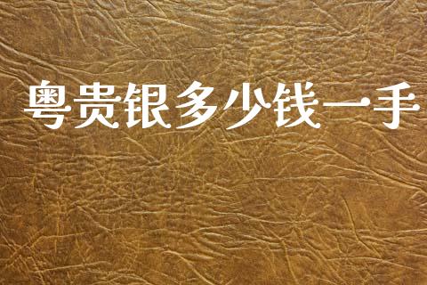 粤贵银多少钱一手_https://www.apanben.com_国际财经_第1张