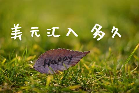 美元汇入 多久_https://www.apanben.com_财经资讯_第1张