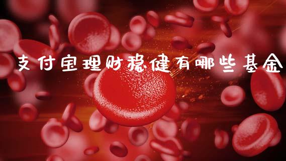 支付宝理财稳健有哪些基金_https://www.apanben.com_财经资讯_第1张
