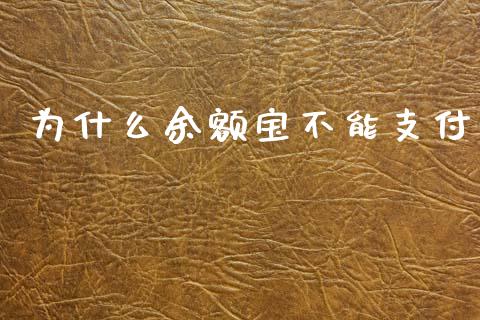 为什么余额宝不能支付_https://www.apanben.com_财经资讯_第1张