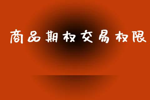 商品期权交易权限_https://www.apanben.com_股票怎么玩_第1张