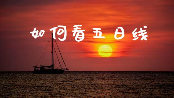 如何看五日线_https://www.apanben.com_财经资讯_第1张