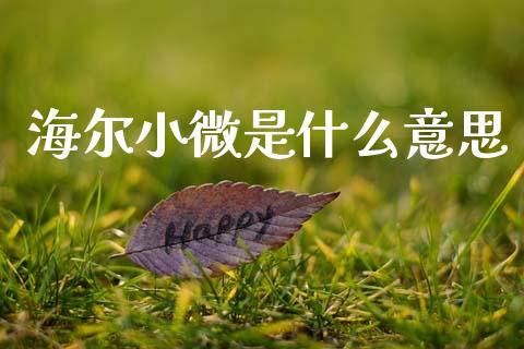 海尔小微是什么意思_https://www.apanben.com_期货学院_第1张