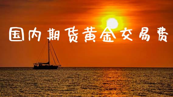国内期货黄金交易费_https://www.apanben.com_期货学院_第1张