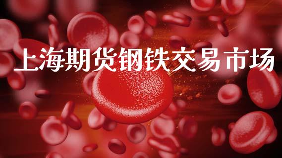 上海期货钢铁交易市场_https://www.apanben.com_股市分析_第1张