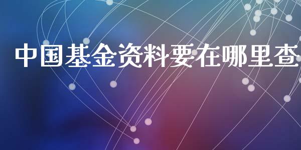 中国基金资料要在哪里查_https://www.apanben.com_财经资讯_第1张