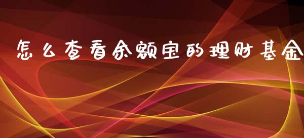 怎么查看余额宝的理财基金_https://www.apanben.com_国际财经_第1张