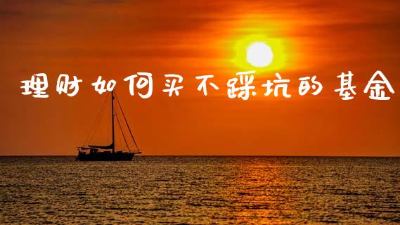 理财如何买不踩坑的基金_https://www.apanben.com_国际财经_第1张