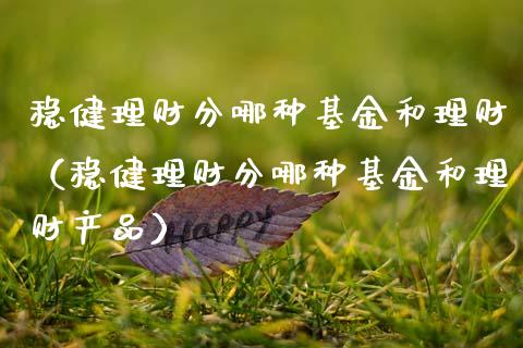 稳健理财分哪种基金和理财（稳健理财分哪种基金和理财产品）_https://www.apanben.com_财经资讯_第1张