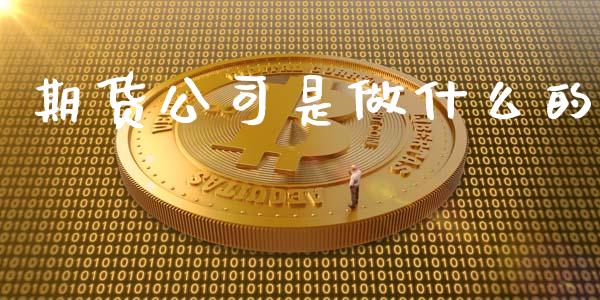 期货公司是做什么的_https://www.apanben.com_国际期货_第1张