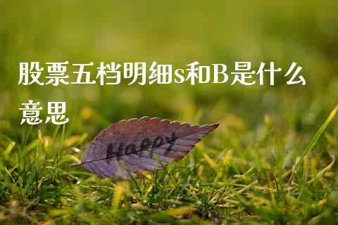 股票五档明细s和B是什么意思_https://www.apanben.com_期货学院_第1张
