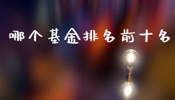 哪个基金排名前十名_https://www.apanben.com_国际财经_第1张