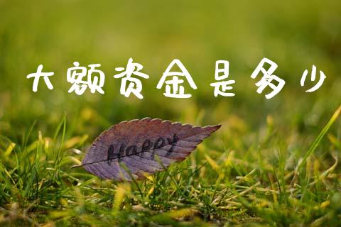 大额资金是多少_https://www.apanben.com_国际财经_第1张