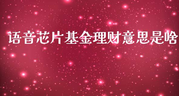 语音芯片基金理财意思是啥_https://www.apanben.com_国际财经_第1张