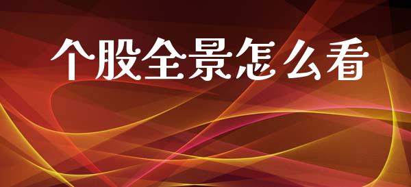 个股全景怎么看_https://www.apanben.com_期货学院_第1张