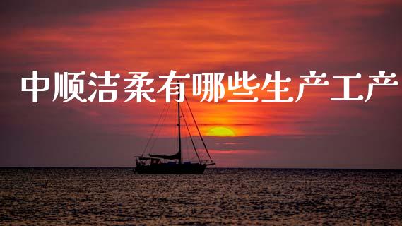 中顺洁柔有哪些生产工产_https://www.apanben.com_股票怎么玩_第1张