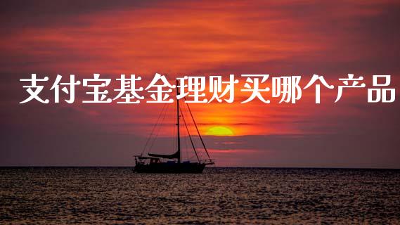 支付宝基金理财买哪个产品_https://www.apanben.com_国际财经_第1张