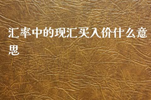 汇率中的现汇买入价什么意思_https://www.apanben.com_在线喊单_第1张