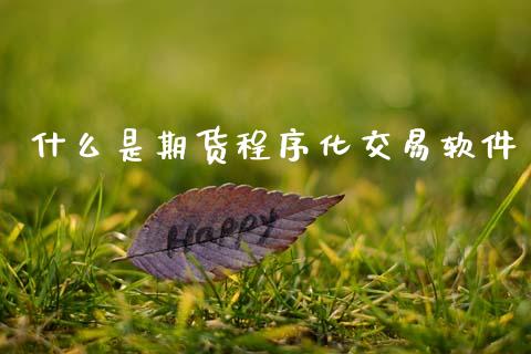 什么是期货程序化交易软件_https://www.apanben.com_国际期货_第1张