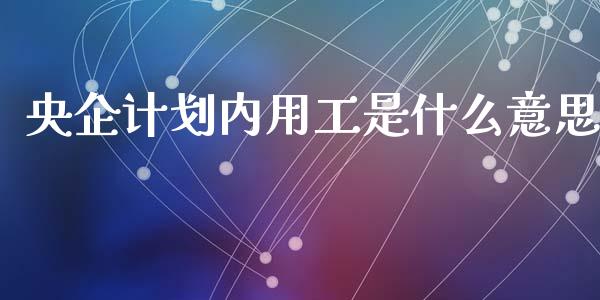 央企计划内用工是什么意思_https://www.apanben.com_股票怎么玩_第1张
