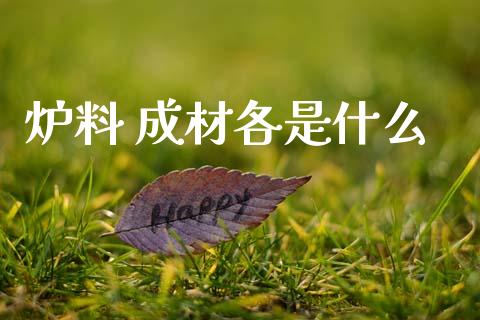 炉料 成材各是什么_https://www.apanben.com_国际财经_第1张