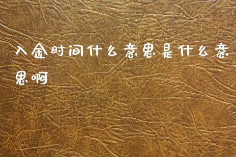入金时间什么意思是什么意思啊_https://www.apanben.com_国际期货_第1张