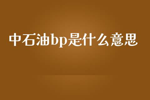 中石油bp是什么意思_https://www.apanben.com_在线喊单_第1张
